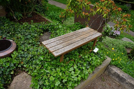 Bad Godesberg